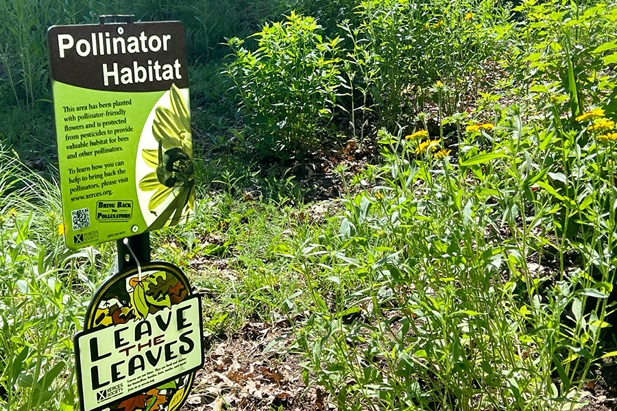 Frasier Receives Grant From People and Pollinators Action Network Pollinator Habitat Fund